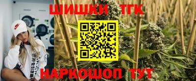 дмт Кингисепп