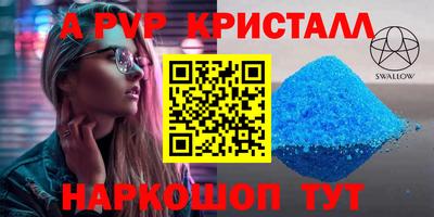 дмт Кингисепп